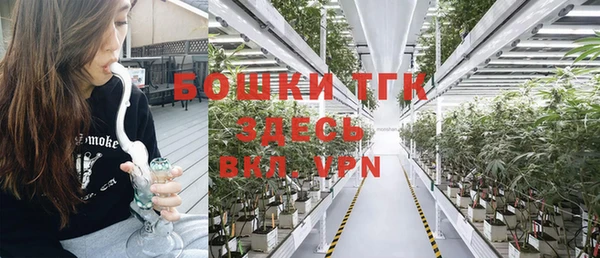 дурь Сосновка
