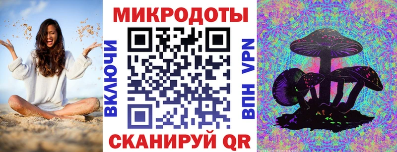 площадка состав  Холм  Галлюциногенные грибы Psilocybe 